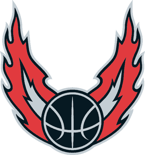 Portland Trail Blazers 2002-2005 Alternate Logo iron on paper